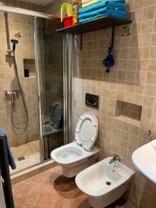 克拉科夫克拉科夫西维奥公寓式酒店的带淋浴、卫生间和盥洗盆的浴室