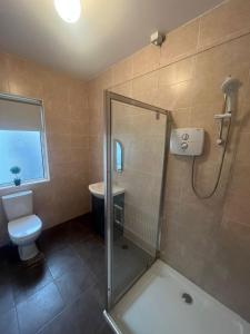 戈尔韦Yeats Lodge Self catering Apartment and Bar的带淋浴和卫生间的浴室