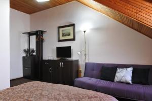布拉格威尔海姆酒店的一间卧室配有紫色沙发和电视