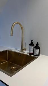 科灵STAY Penthouse的厨房水槽内备有两瓶肥皂
