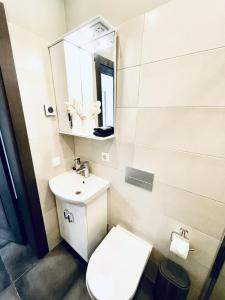 斯伽尔达Villa Vilma的浴室配有白色卫生间和盥洗盆。