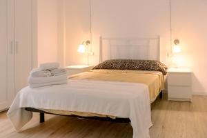 巴尔巴斯特罗Añisclo的一间卧室配有一张床,上面有两条毛巾