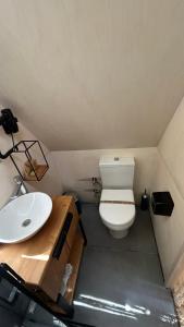 KırklareliLONGOSPHERE GLAMPING的一间带卫生间和水槽的小浴室