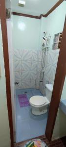爱妮岛ALFA Garden Lodge的一间带卫生间和淋浴的浴室