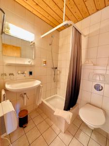 布里恩茨Hotel Wildbach Brienz的浴室配有盥洗盆、卫生间和浴缸。