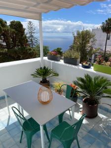 San Andres y SaucesHostal Bubango的种植了植物的阳台配有白色的桌椅