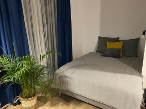 什切青Apartamenty Silver Place的一间卧室配有蓝色窗帘和植物的床