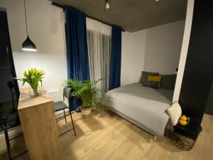 什切青Apartamenty Silver Place的一间卧室配有蓝色窗帘和植物的床