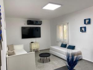 尼夫佐哈Romi's suite by LOREN VILLAGE的白色的客房配有床和电视。