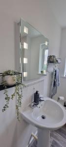 利The Pennington Apartment & FREE Parking Next to Sports Village的白色的浴室设有水槽和镜子