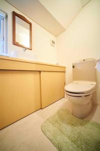 札幌Guest House Kingyo - Vacation STAY 14497的一间带卫生间、水槽和地毯的浴室