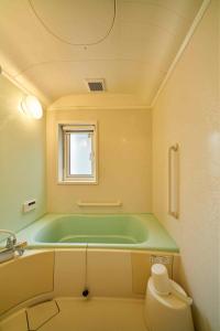 札幌Guest House Kingyo - Vacation STAY 14497的一间带绿色浴缸和卫生间的浴室