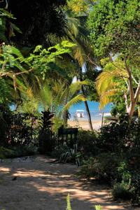 Nosy KombaVilla Ilo Komba的海滩上种有长凳和棕榈树的公园