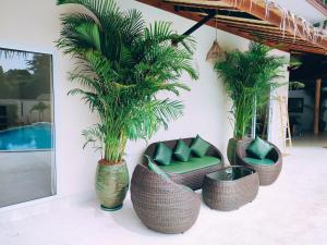班泰Villa Baan Naí Pã的一群棕榈树,在柳条椅和游泳池里