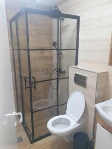 VrnjciSANI的浴室设有卫生间和玻璃淋浴间。