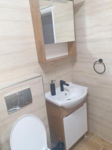 VrnjciSANI的一间带水槽、镜子和卫生间的浴室