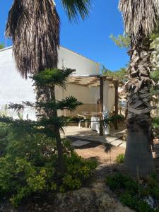 切萨雷奥港Villa Lu的院子里有棕榈树的房子