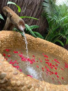 卡拉伊瓦Villa Fulô的石头碗里装满红色花的喷泉
