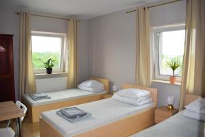 热舒夫Noclegi Rzeszów的带2扇窗户的小客房内的2张床