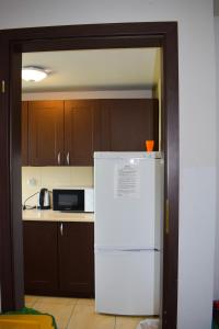 热舒夫Noclegi Rzeszów的厨房配有白色冰箱和微波炉