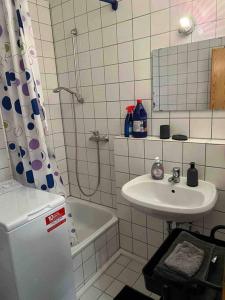 施瓦格明德FMA Ferienwohnung GD的浴室配有盥洗盆和浴缸。