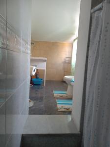 圣欧费米亚拉默齐亚VILLA CORTESE的带淋浴和卫生间的浴室。
