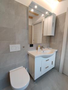 OspedalettoCasa Venere的一间带卫生间、水槽和镜子的浴室