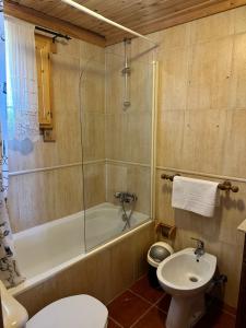 佩尼亚什达绍迪Chalé Inn Star的带浴缸、卫生间和盥洗盆的浴室