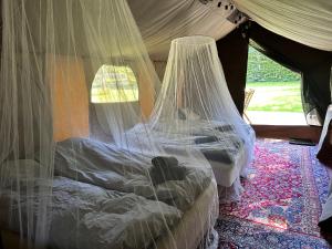 纳克斯考Langø Feriecenter - Outdoor Lodge的配有蚊帐的客房内的两张床