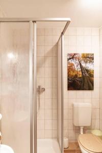 哈瑟尔费尔德Das Waldseechalet Märchenhafter Waldseeblick - moderne Wohnung mit Infrarotsauna的带淋浴和卫生间的浴室