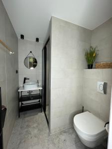 托伊拉Toila Pikk Apartment的一间带卫生间和水槽的浴室