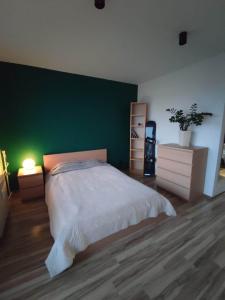 罗兹Chill Studio的一间卧室设有一张大床和绿色的墙壁