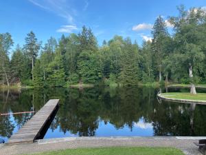 哈瑟尔费尔德Das Waldseechalet Märchenhafter Waldseeblick - moderne Wohnung mit Infrarotsauna的公园里的一个湖面码头