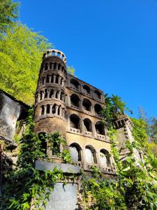 CorrisThe Granary Corris on the edge of the Dyfi Forest的一座藤蔓环绕的古老建筑