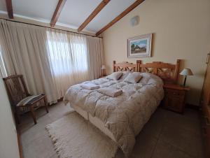 卡薇亚惠Cerro Pirámide Alojamiento的一间卧室设有一张大床和一个窗户。