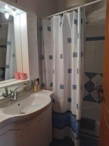 凯法利尼亚岛Kali’s comfort的一间带水槽和淋浴帘的浴室