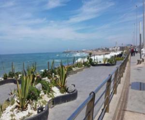 卡萨布兰卡Corniche Casablanca的拥有栅栏和植物的海滩和海洋