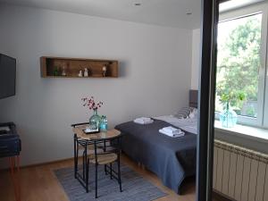索斯诺维茨Apartamenty Wiejska 126的一间卧室配有一张床、一张桌子和一个窗户。