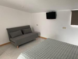 卡尔达斯·德·雷斯Apartamentos OLIVA的一间卧室配有一张床、一张沙发和一台电视