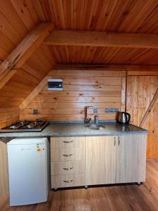 PazarMutlu apart ve bungalovs的厨房配有白色冰箱和水槽