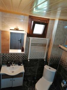 PazarMutlu apart ve bungalovs的一间带卫生间和水槽的小浴室