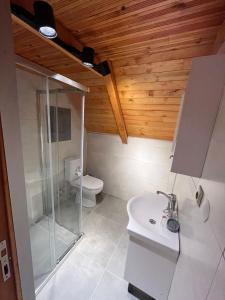 PazarMutlu apart ve bungalovs的带淋浴、盥洗盆和卫生间的浴室