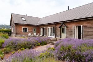DorstoneStunning lodge in idyllic rural Herefordshire的一座带紫色鲜花的木屋