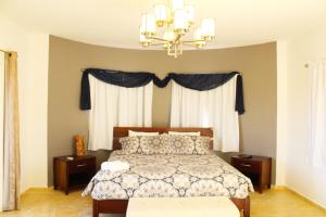 棕榈滩蛋白石别墅的一间卧室配有一张床和一个吊灯