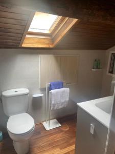 索特APARTAMENT BETTY的浴室配有卫生间、水槽和天窗。