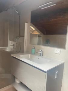 索特APARTAMENT BETTY的浴室配有白色水槽和淋浴。