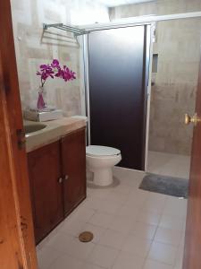 坎昆Casa Calis Cancún的浴室配有卫生间、盥洗盆和淋浴。
