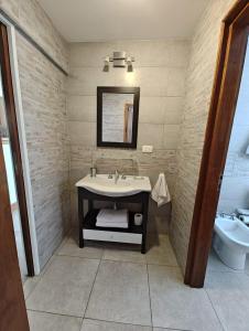 卡薇亚惠Cerro Pirámide Alojamiento的一间带水槽和卫生间的浴室