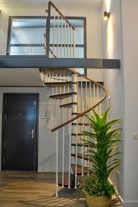 塞维利亚Duplex moderno en Alameda的一座种植了盆栽植物的房子里的一个螺旋楼梯