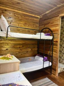 马太Camp Taveuni的木墙内带两张双层床的客房